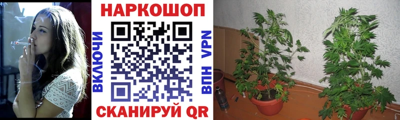 Как найти наркотики Нерюнгри Конопля  Меф  Альфа ПВП  ГАШ  Cocaine 