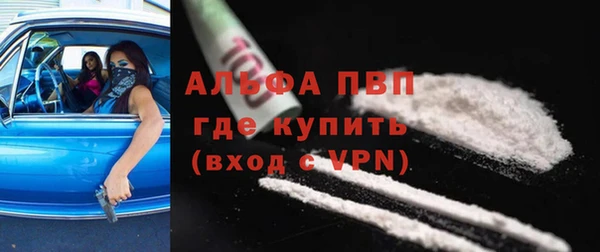 стаф Белокуриха