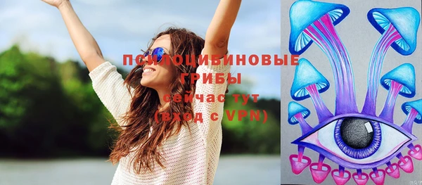 стаф Белокуриха