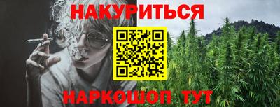 стаф Гатчина