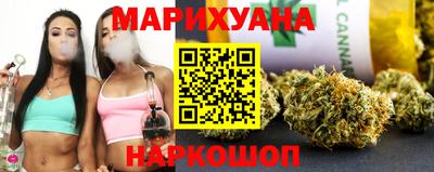 стаф Гатчина