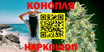 стаф Гатчина