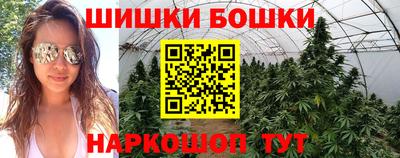 стаф Гатчина