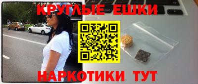 стаф Гатчина
