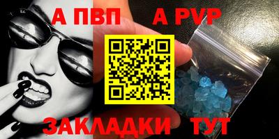 стаф Гатчина