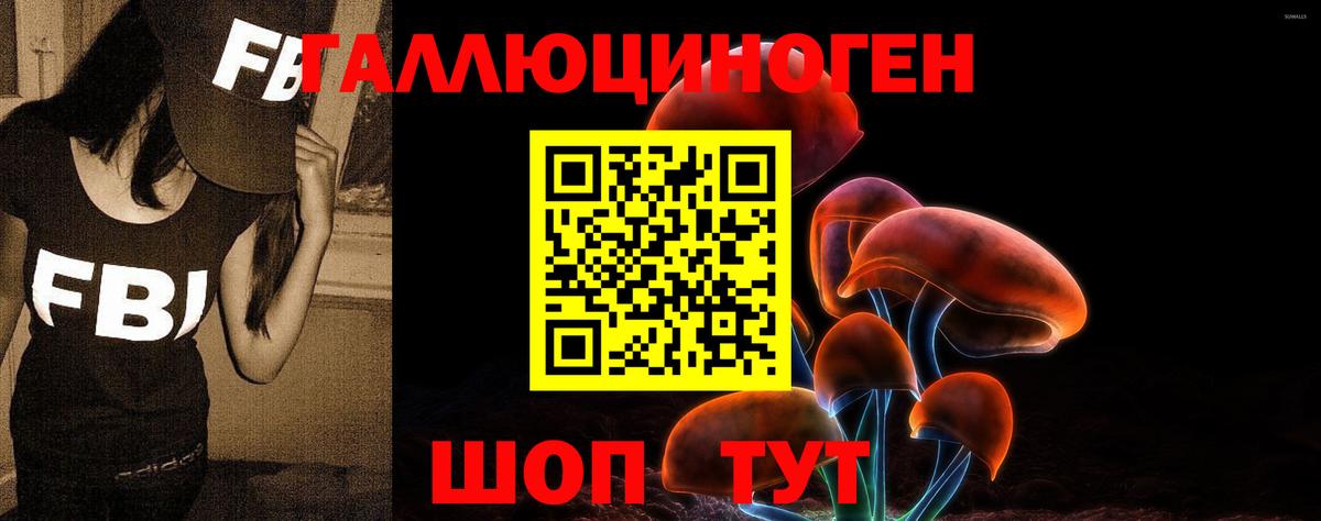 Нерюнгри  Галлюциногенные грибы прущие грибы  Вход с VPN 